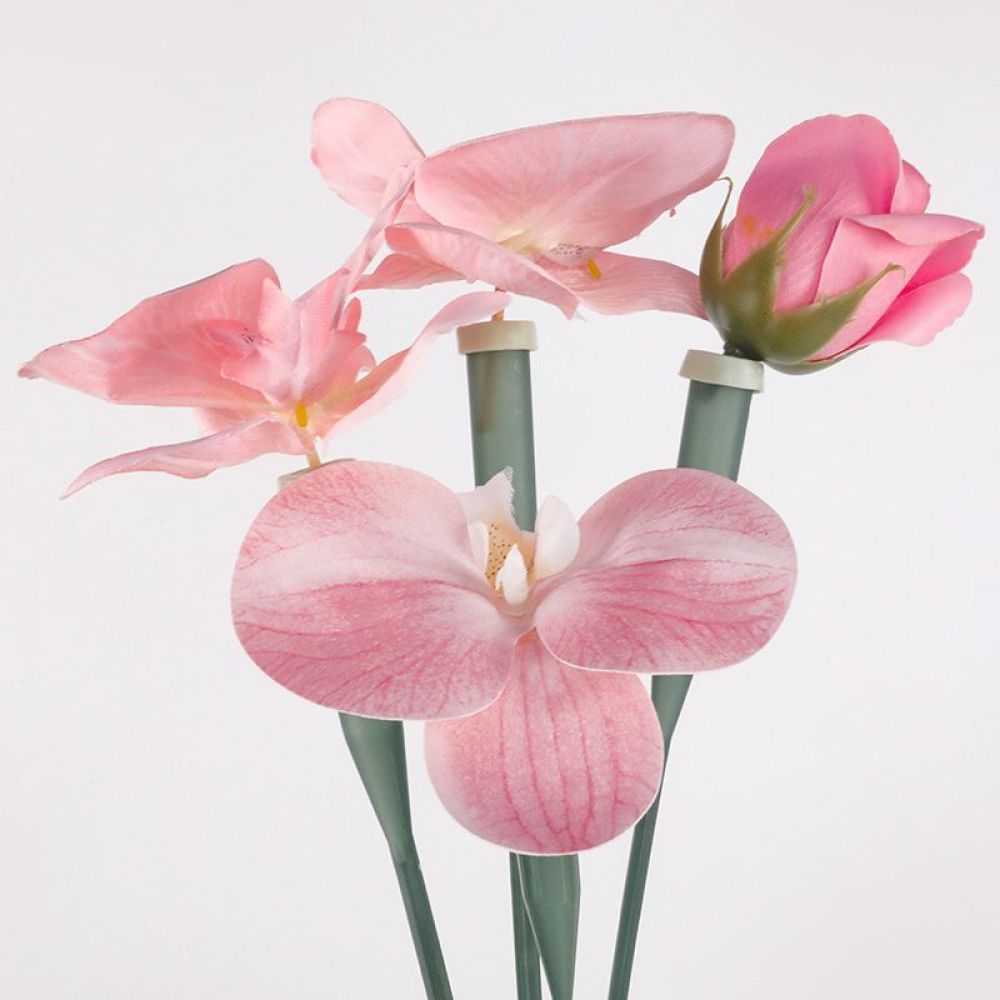 Floral Preservative Tubes Tran - The Florist Supply Shop recension och pris